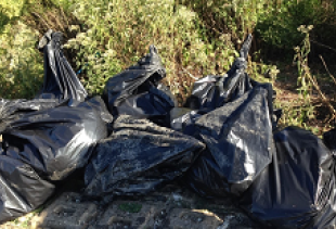 bolsas for engineering students